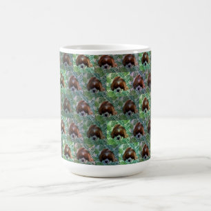 Groene koning Charles Cavalier Spaniel, Mok koffie