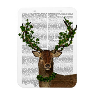 Groene koning magneet