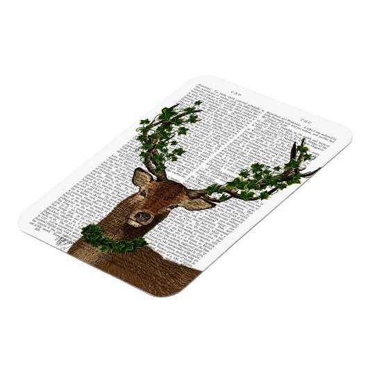 Groene koning magneet (Linkerzijde)