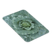 Groene kool, bladeren van bovenaf magneet (Rechterzijde)