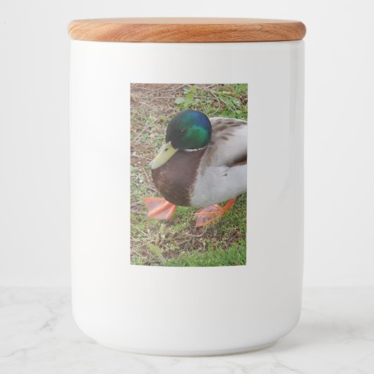 Groene kop Eend Voedsel Container Label Voedselcontainer Etiket (Voorkant)