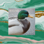 Groene kop Mallard Drake Tegeltje<br><div class="desc">Natuur vormde keramische tegels met het foto-afbeelding van een groene Mallard drake,  het mannetje van de eenden. Selecteer de tegelgrootte. Maakt een geweldige keukentochtje!</div>
