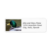 Groene kop Mallard Duck retouradres Etiket (Voorkant)