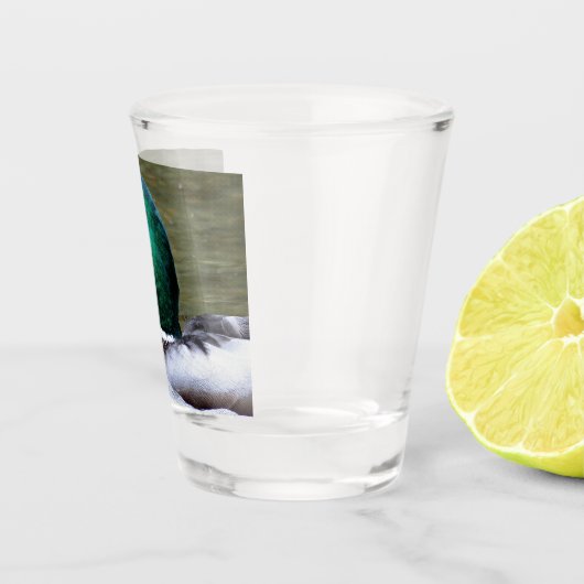 Groene kop Mallard Duck Shot Glas (Rechts)