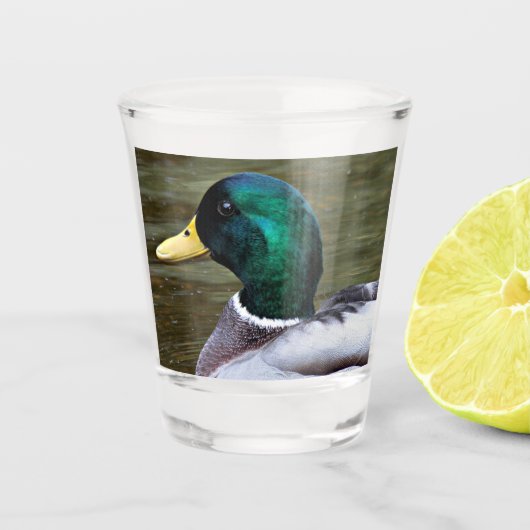 Groene kop Mallard Duck Shot Glas (Voorkant)