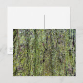 Groene korstmos op boomstam briefkaart (Voorkant / Achterkant)