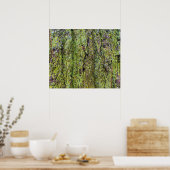 Groene korstmos op boomstam natuur poster (Keuken)