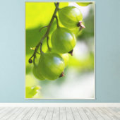 Groene kruisbessen CC0307 Groot Canvas Afdruk (Insitu (Houten vloer))