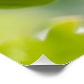 Groene kruisbessen CC0324 Nieuwe opties Poster (Hoek)