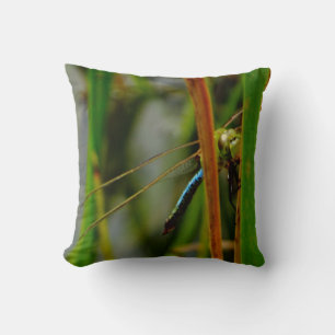 groene kussen blauwe libellen , groene ogen