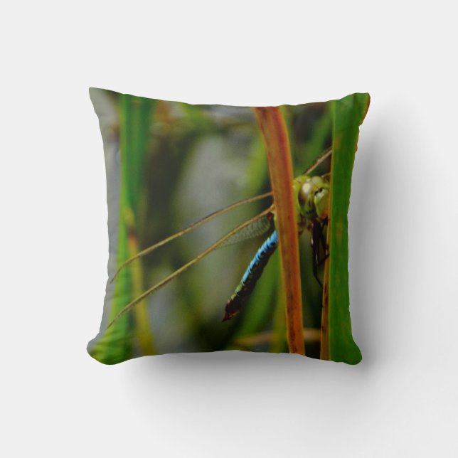 groene kussen blauwe libellen , groene ogen (Voorkant)