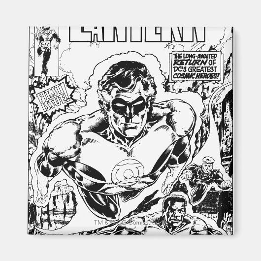 Groene lampjes vliegen, zwart en wit magneet (Voorkant)