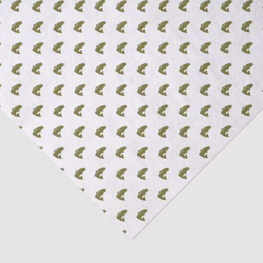 Groene largemouth Bass Fish | Achtergrond kleur Tissuepapier (Detail)