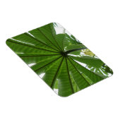 Groene Leaf 3"x4"-magneet Magneet (Rechterzijde)
