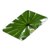 Groene Leaf 3"x4"-magneet Magneet (Linkerzijde)