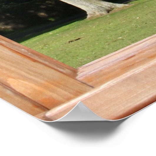 Groene Leafy Trees en het Uitzicht van de Katoen v Poster (Hoek)