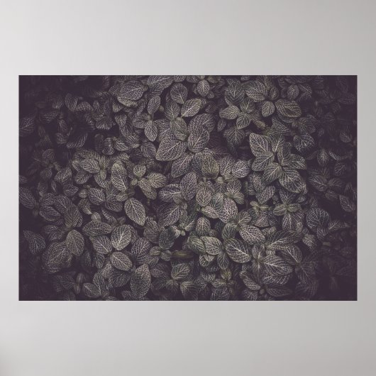 GROENE LEAVES POSTER (Voorkant)