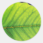 Groene lederen bladeren ronde sticker (Voorkant)