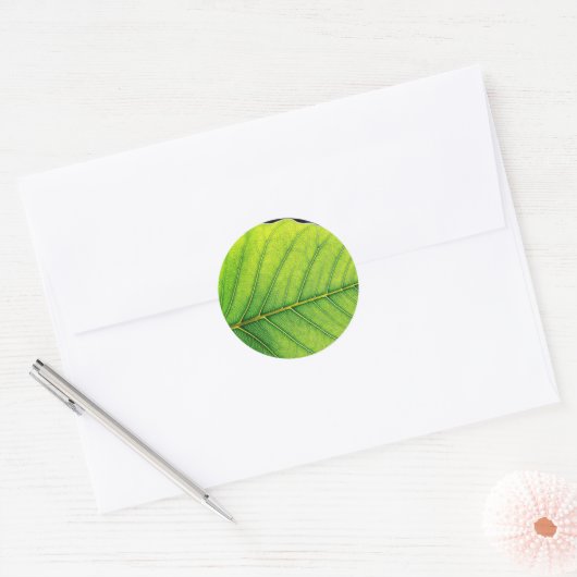 Groene lederen bladeren ronde sticker (Envelop)
