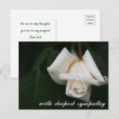 Groene lederen blanke rozensympathie briefkaart (Voorkant / Achterkant)