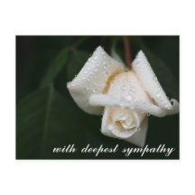 Groene lederen blanke rozensympathie