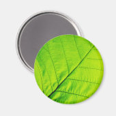Groene lederen magneten (Voorkant / Achterkant)