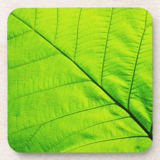 Groene lederen Onderzetters (Voorkant)