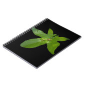 Groene lederkikker van druiven, Notitieboek (Linkerzijde)