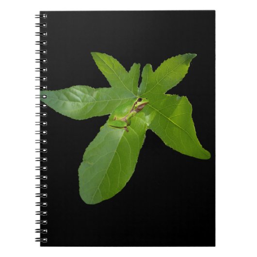 Groene lederkikker van druiven, Notitieboek (Voorkant)