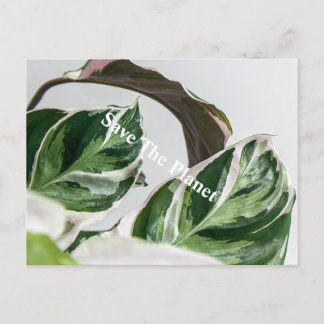 Groene lef Sava de planeet Briefkaart