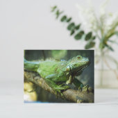 Groene leguaan briefkaart (Staand voorkant)