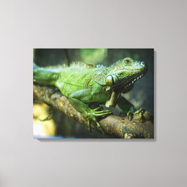 Groene Leguaan Canvas Afdruk