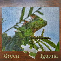 Groene leguaan in een palmbOOM Fotopuzzel