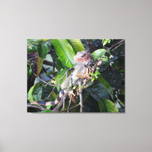 Groene leguaan in het regenwoud canvas afdruk