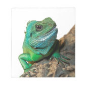 Groene leguaan notitieblok (Voorkant)