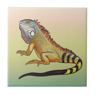groene leguaan tegeltje
