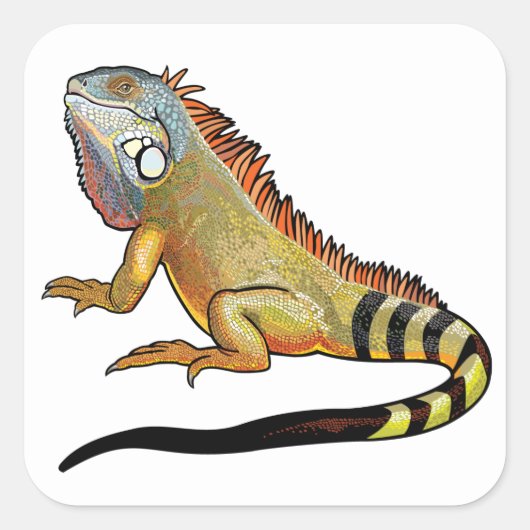 groene leguaan vierkante sticker (Voorkant)