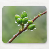 Groene lenteknoppen muismat (Voorkant)