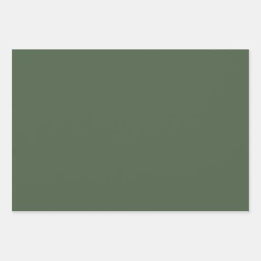 Groene Leopard Oerwoud Safari Wrapping Paper Set (Voorkant 3)