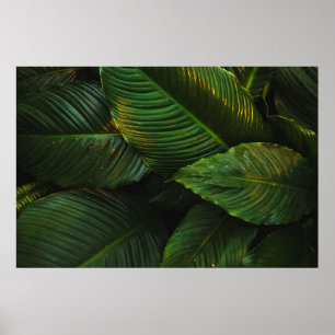 GROENE LEVERINGEN OP FOCUSFOTOGRAFIE POSTER