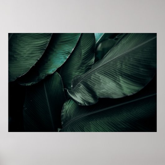 GROENE LEZEN MACRO FOTOGRAFIE POSTER (Voorkant)