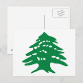 Groene Libanese cedar-boom Briefkaart (Voorkant / Achterkant)