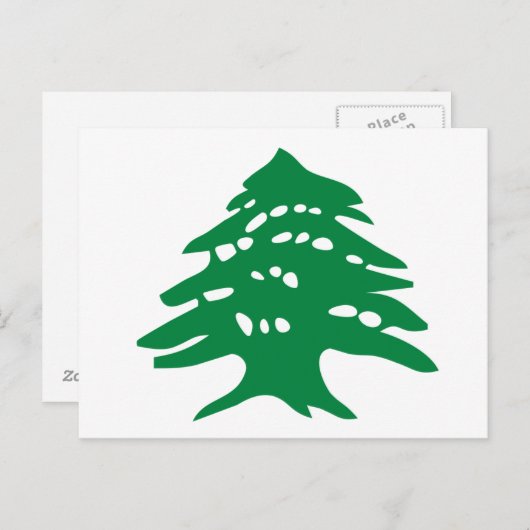 Groene Libanese cedar-boom Briefkaart (Voorkant / Achterkant)