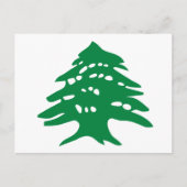 Groene Libanese cedar-boom Briefkaart (Voorkant)