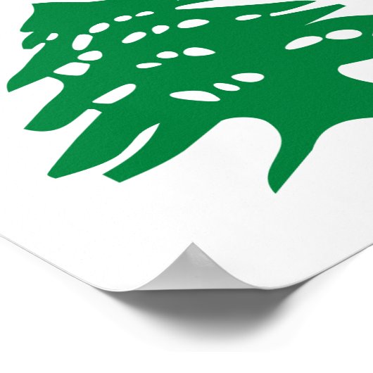 Groene Libanese cedar-boom Poster (Hoek)