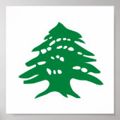 Groene Libanese cedar-boom Poster (Voorkant)