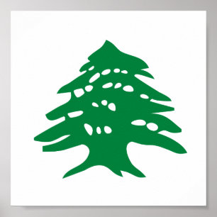 Groene Libanese cedar-boom Poster
