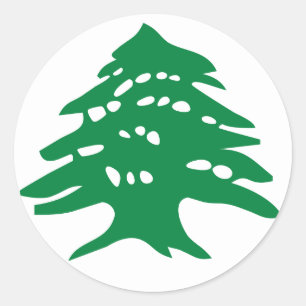 Groene Libanese cedar-boom Ronde Sticker