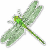 Groene libel contour sticker (Voorkant)