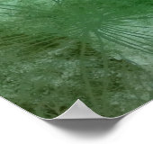 Groene Libellen Libellen Liefhebbers Poster (Hoek)